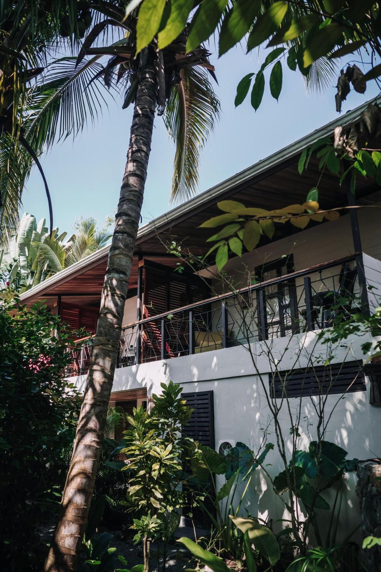 Conga Boutique Hotel Puerto Viejo de Talamanca Bagian luar foto