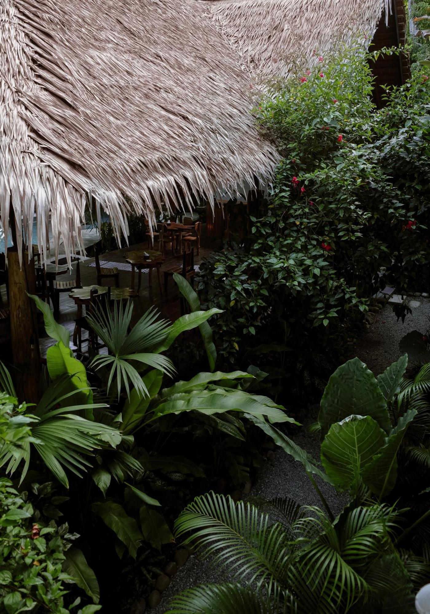 Conga Boutique Hotel Puerto Viejo de Talamanca Bagian luar foto