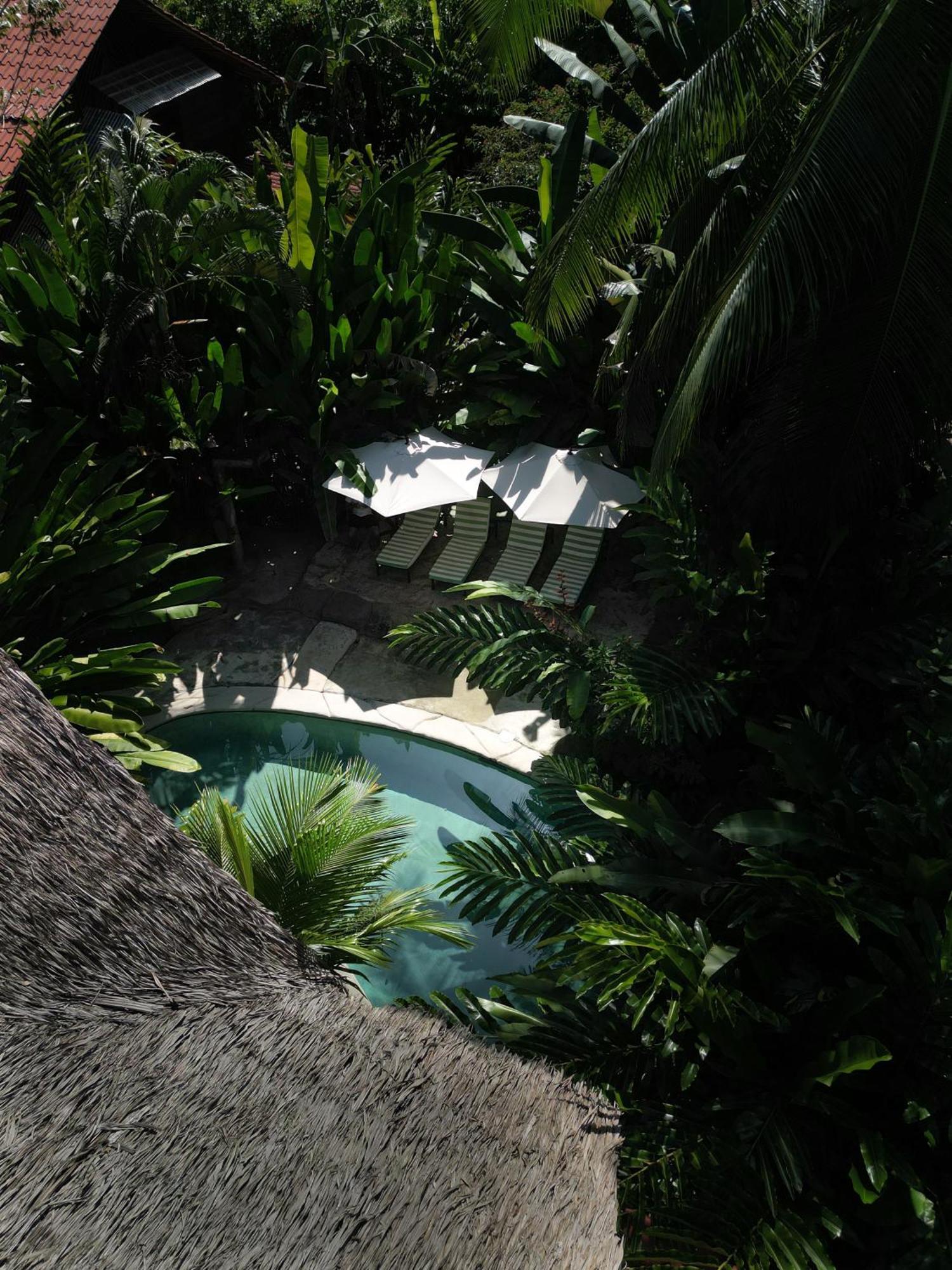 Conga Boutique Hotel Puerto Viejo de Talamanca Bagian luar foto
